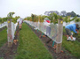 大沢ワインズ　2008年最後の収穫