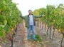 Osawa Vineyard & Winery Tour